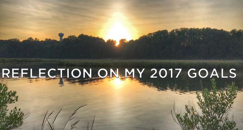Reflection On My 2017 Goals - Cover Art